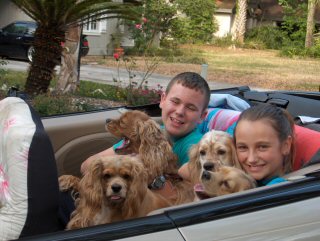 2004 cockers convertible