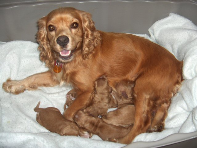 Bianca first litter