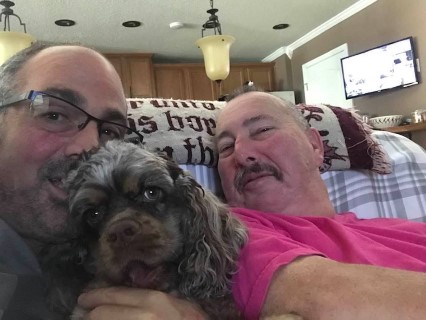 chocolate and tan marking merle