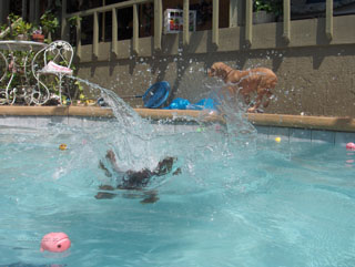 coco splash