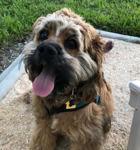 Charlie2