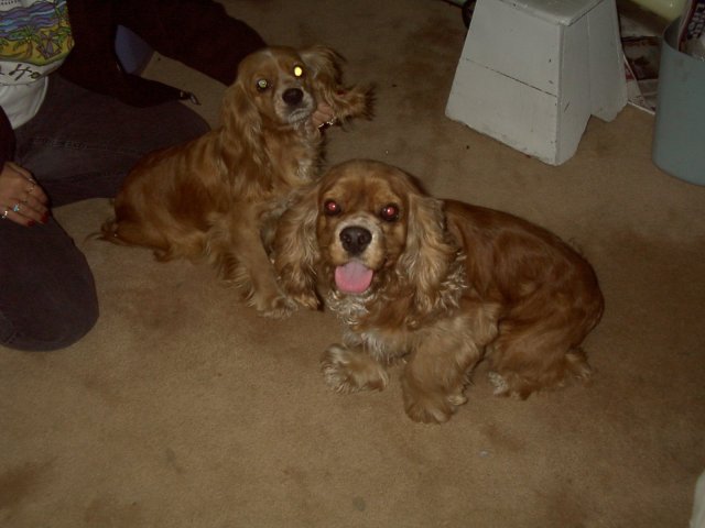Tiffany and Coco