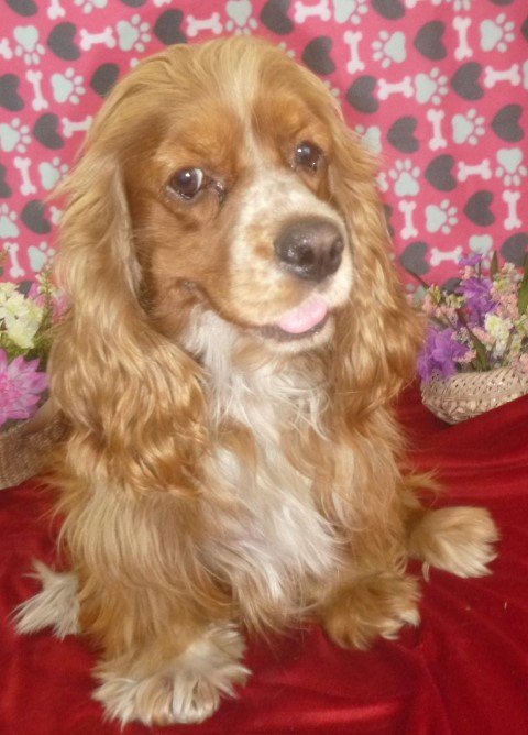 Fiona