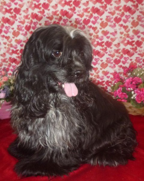 Keiki