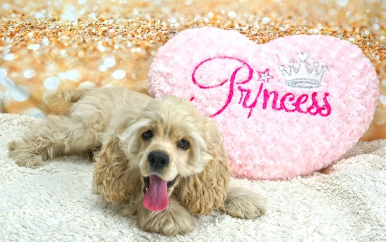 Rayne 4 months