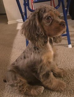 3 mo