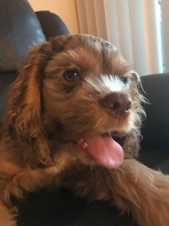 3mo