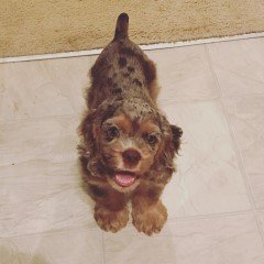 3 mo